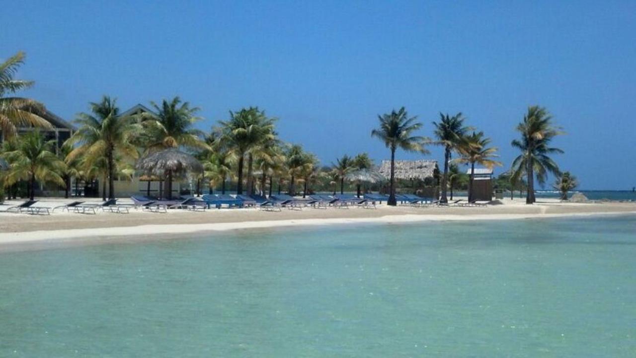 Las Palmas Beach Hotel Dixon Cove Exterior foto