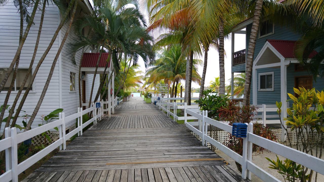 Las Palmas Beach Hotel Dixon Cove Exterior foto