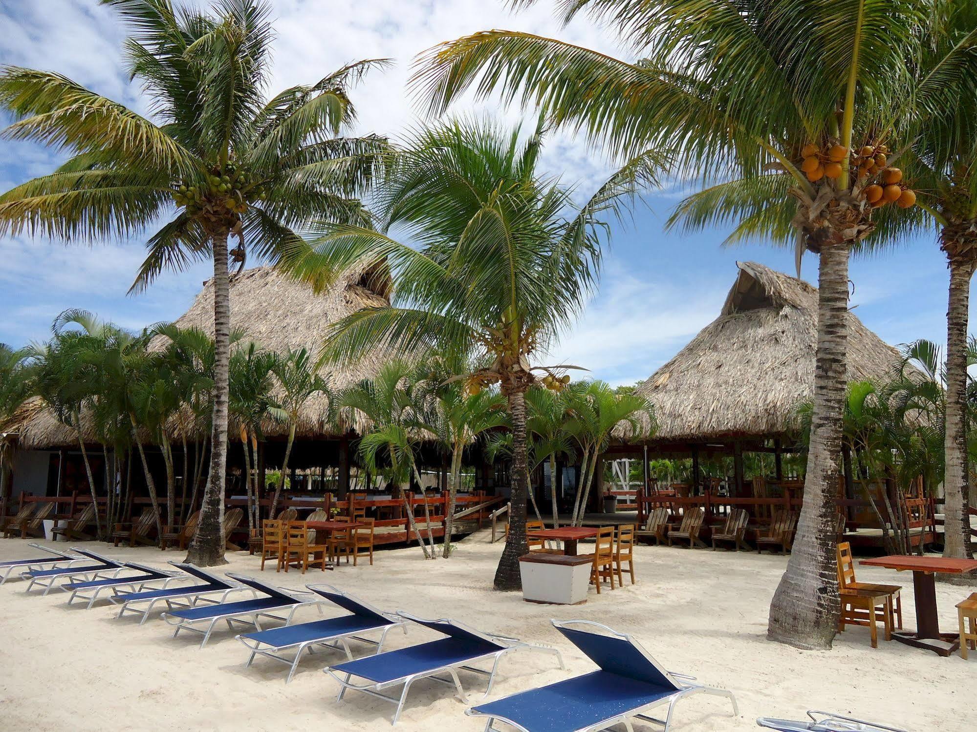 Las Palmas Beach Hotel Dixon Cove Exterior foto