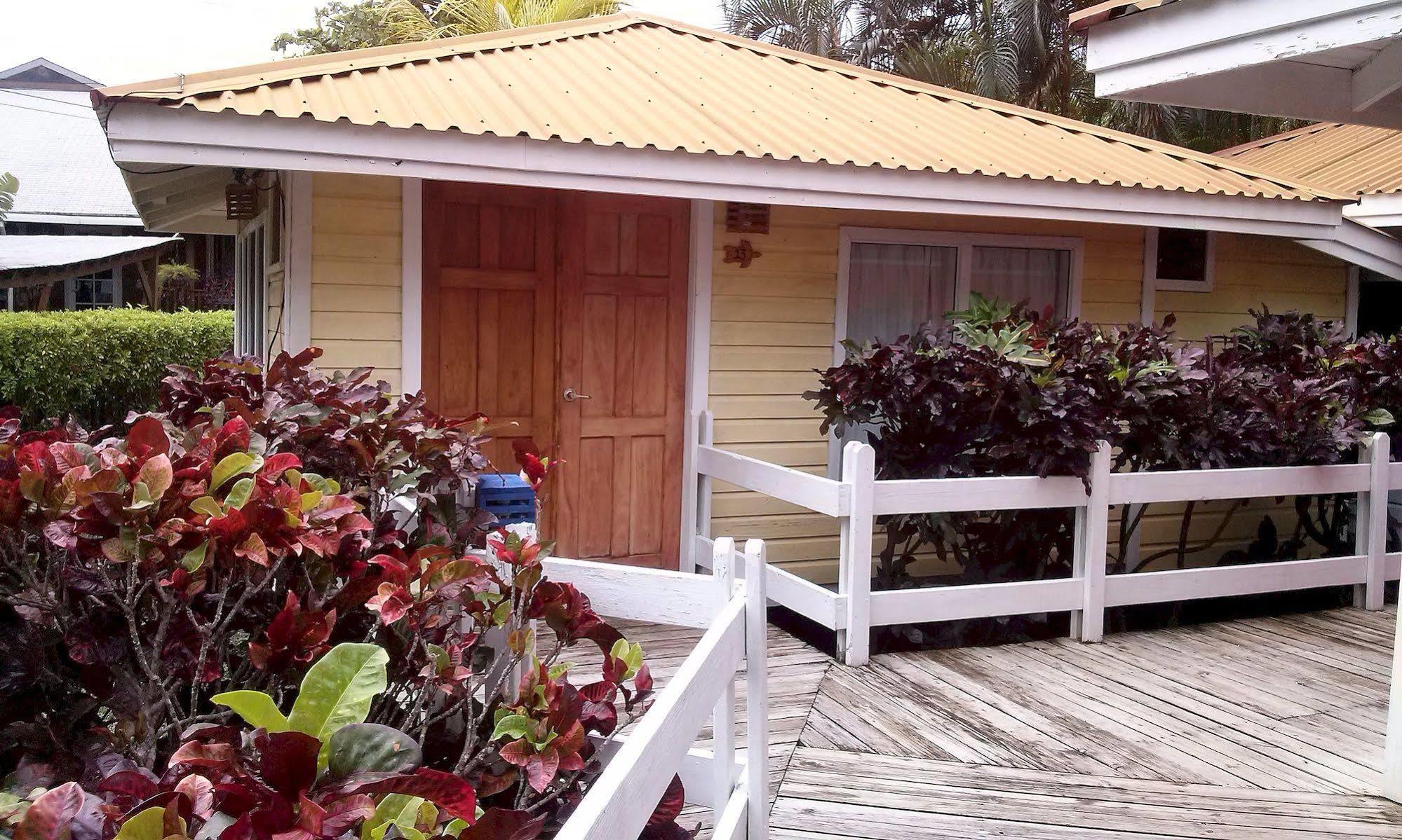 Las Palmas Beach Hotel Dixon Cove Exterior foto